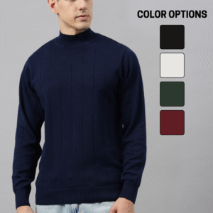 Men Crew Neck Regular Fit Sweater
